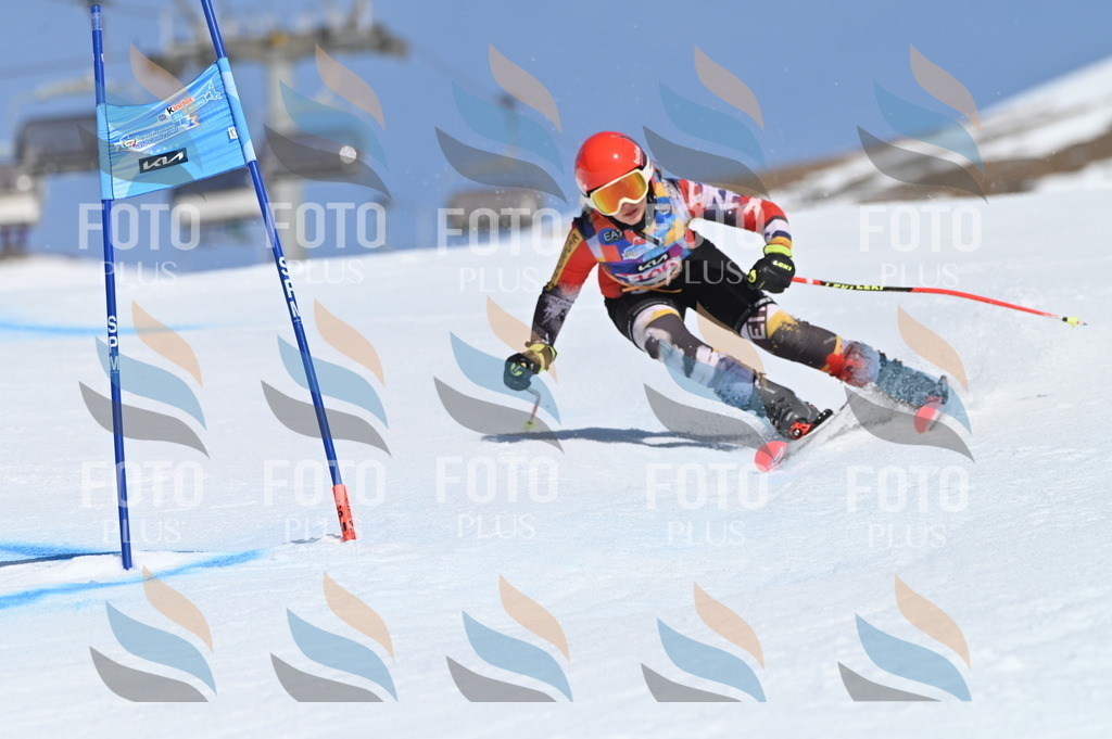 BGV_9563 | holidayphoto