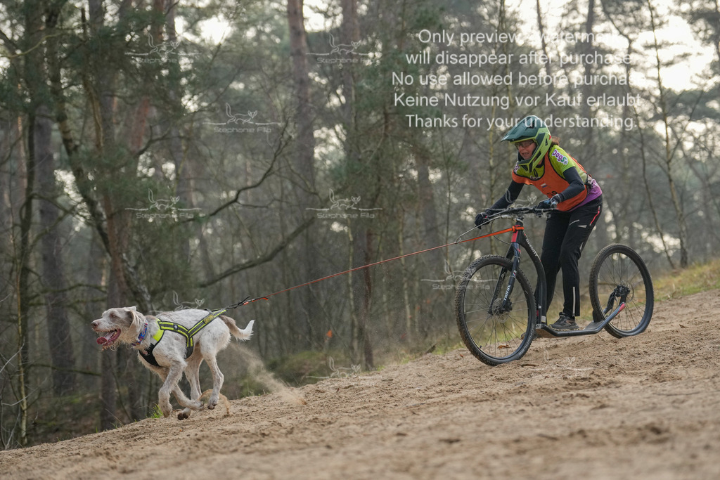 Scooter1-210 | stephaniefillaphotographie - Realisiert mit Pictrs.com