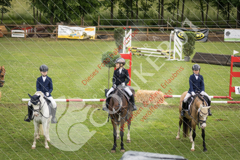 IMG_1852 | Sport-, Event- und Tierfotos in Profiqualität. Einfach auswählen, bestellen und herunterladen. Dein Moment – perfekt festgehalten.