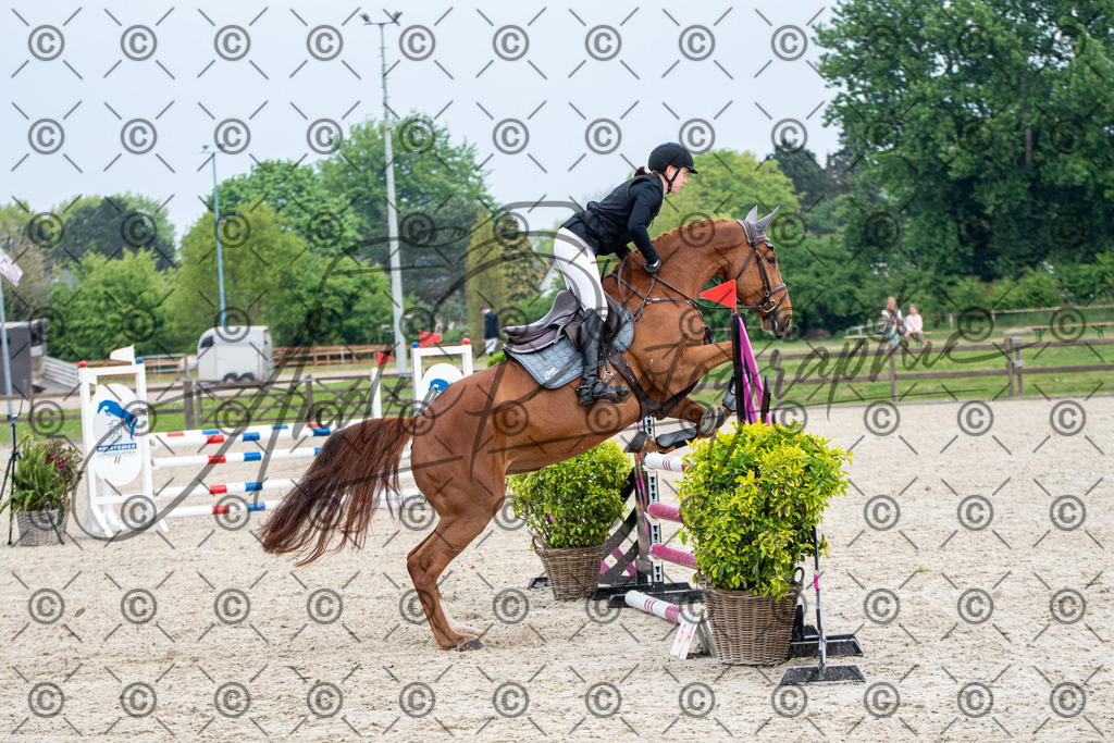 KPT_2816 | andre_photographic