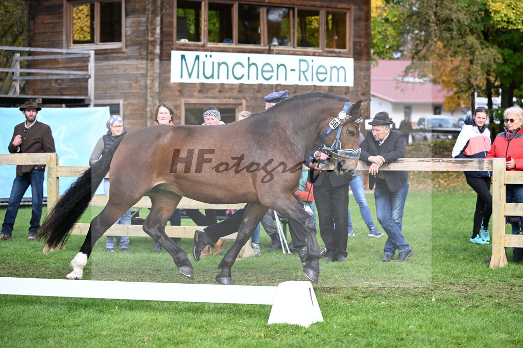 Kat-Nr. 56 Nockerl v. Rivero_HLG Schwaiganger_41251263 | hf-fotografie - Realizzato con Pictrs.com