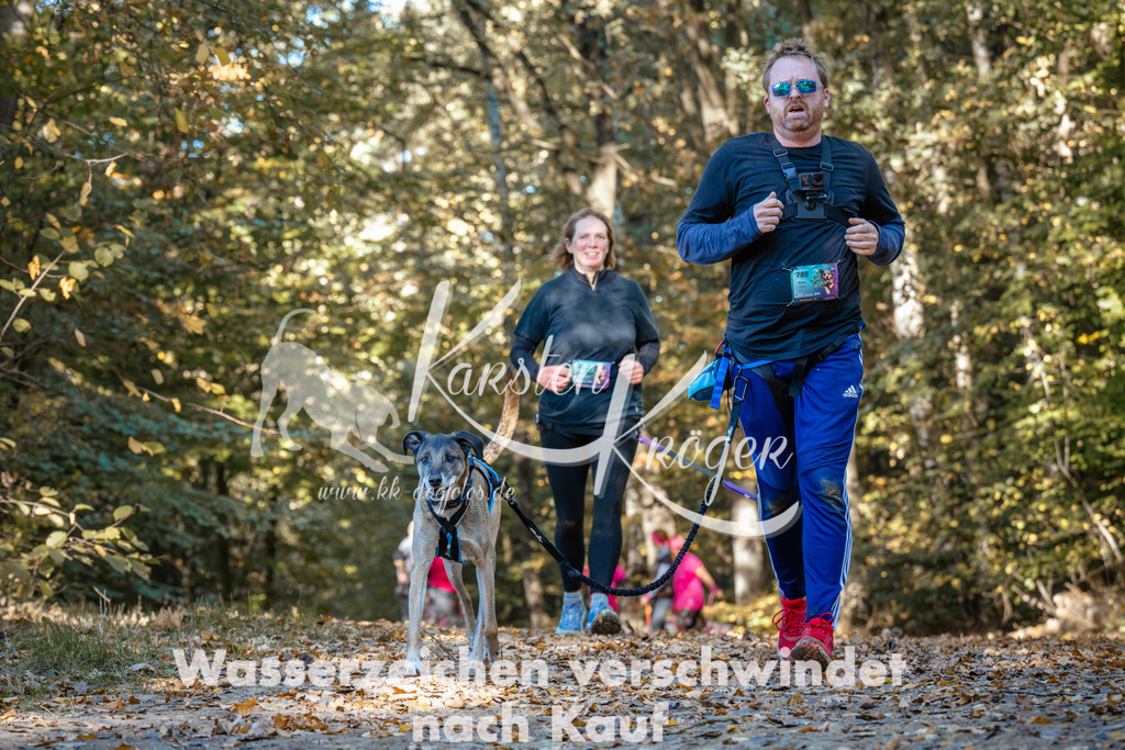 1108_ZZ91681 | kk-dogfotos