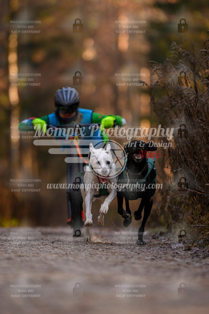 MompixPhotography_DM_AKDM_SO_2025_Scooter-20 | PayLife