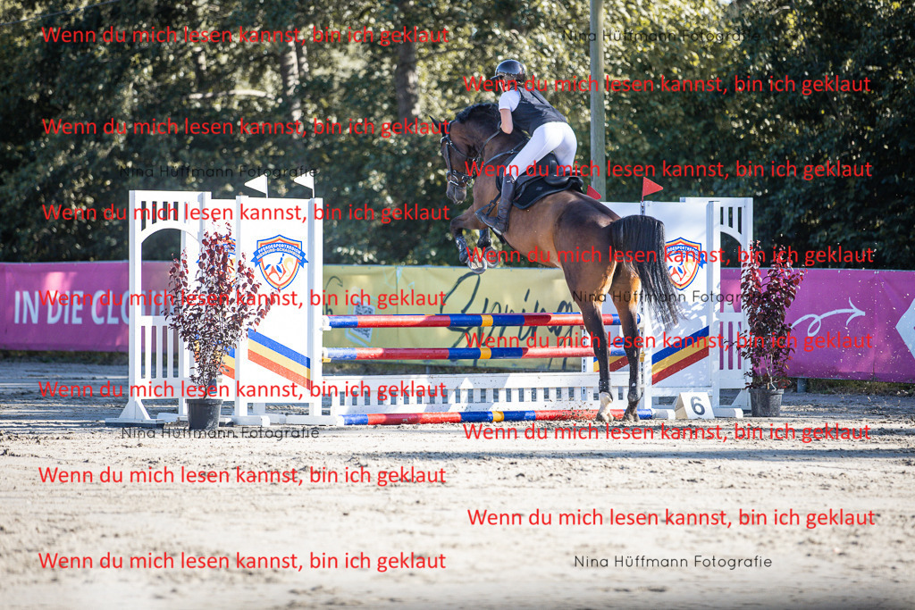 BK1A7435 | Turnierbilder Turnierfotos Nina Hüffmann Turnierfotografie Pferdefotografie Tierzeichnung Haustierzeichnung Pferdezeichnung Hundezeichnung Videograf  - Realisiert mit Pictrs.com