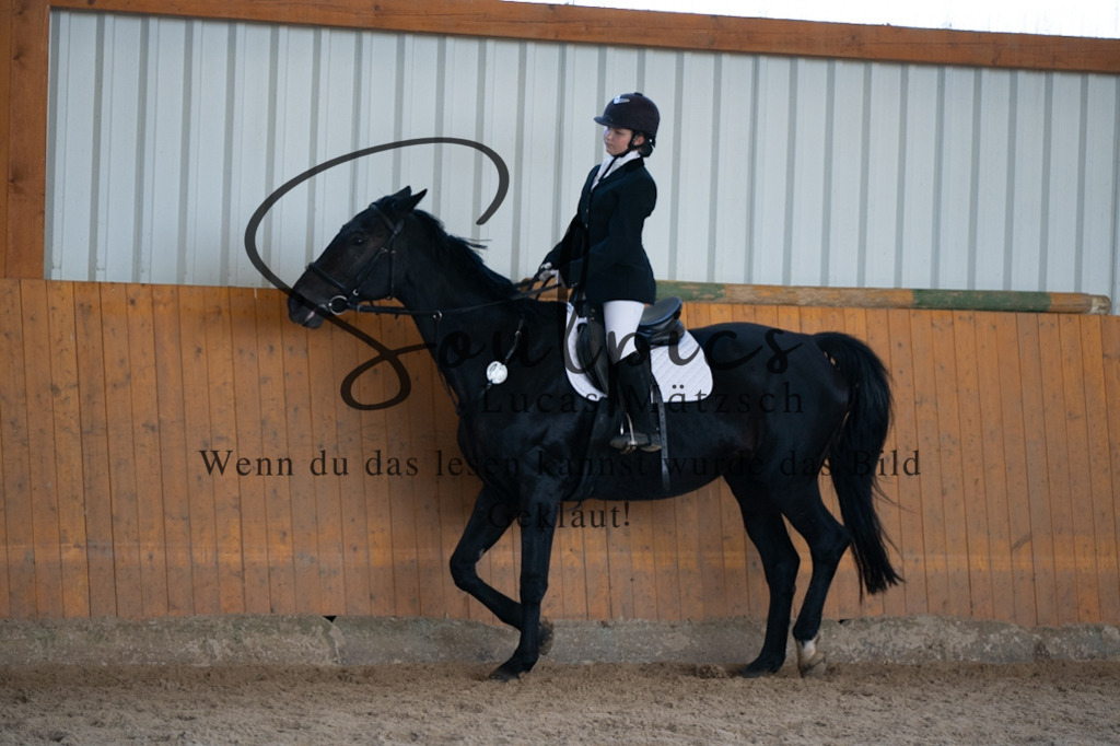 A7V02159 | Turnier/Reitfotograf