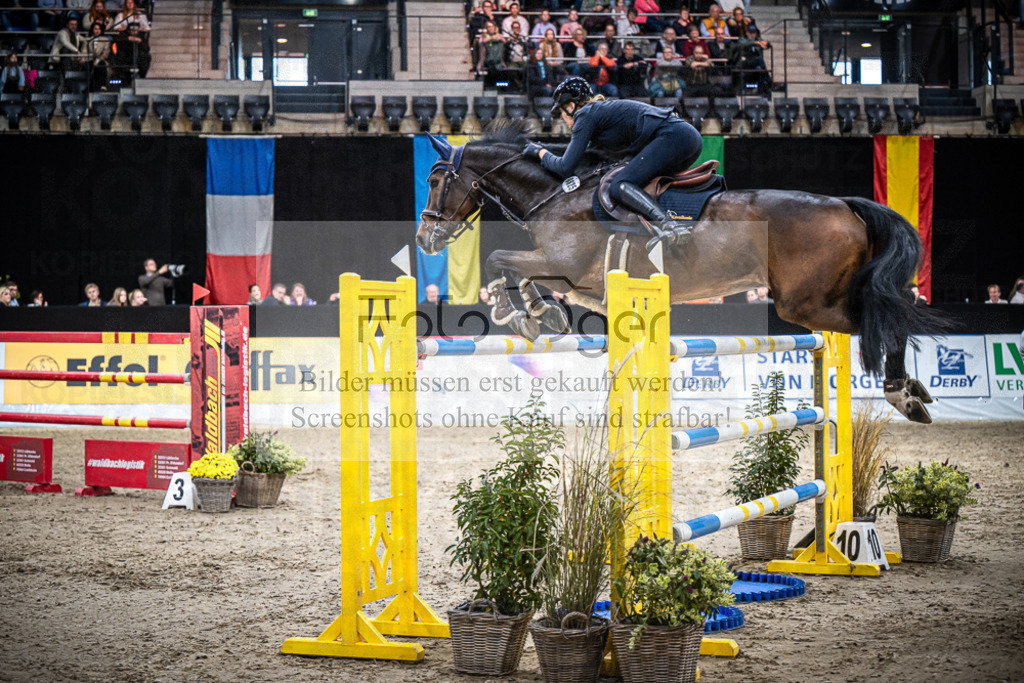 DOS_0761 | Entdecke hochwertige Reitturnierfotos von Foto Oger. Professionell, emotional und authentisch – jetzt Lieblingsmomente im Shop bestellen.Deutschlandweite Turnierfotografie. - Realisiert mit Pictrs.com