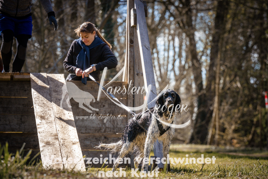 0959_ZZ96959 | kk-dogfotos