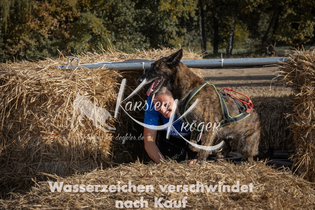1053_ZZ99471 | kk-dogfotos