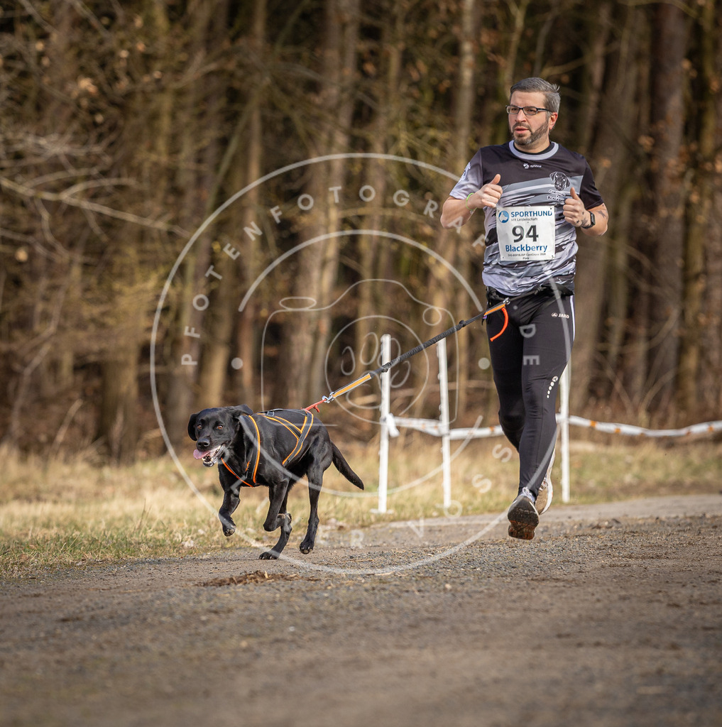 DV3A4022 | Hundefotografie, Tierfotograf, Pfotenfotografie, Fotoshooting Hund, Hunde Portrait, Hundesport, Hundeportraits, Heideshooting, Hunde, Sportfotograf, Hundefotograf, Turnierhundsport, THS,  - Realisiert mit Pictrs.com