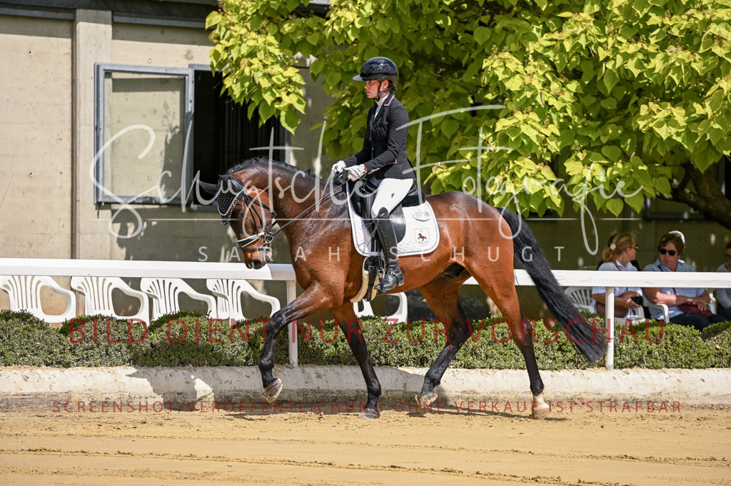 Schugtsche-Aluta25-48.Reitpferfdeprf.-18 | Schugtsche Fotografie - Realisiert mit Pictrs.com