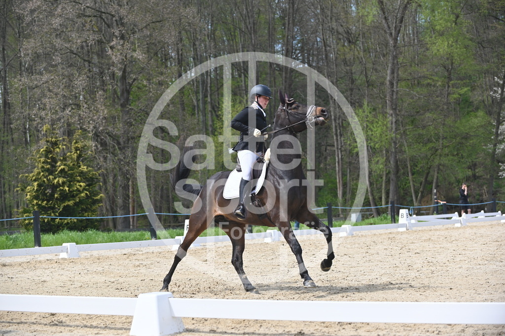 DSC_3148 | sattelsport - Realisiert mit Pictrs.com