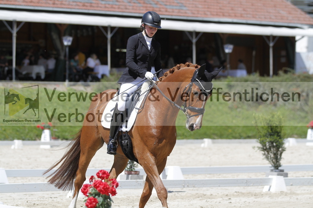 _MG_4624 | equestrian-live-com