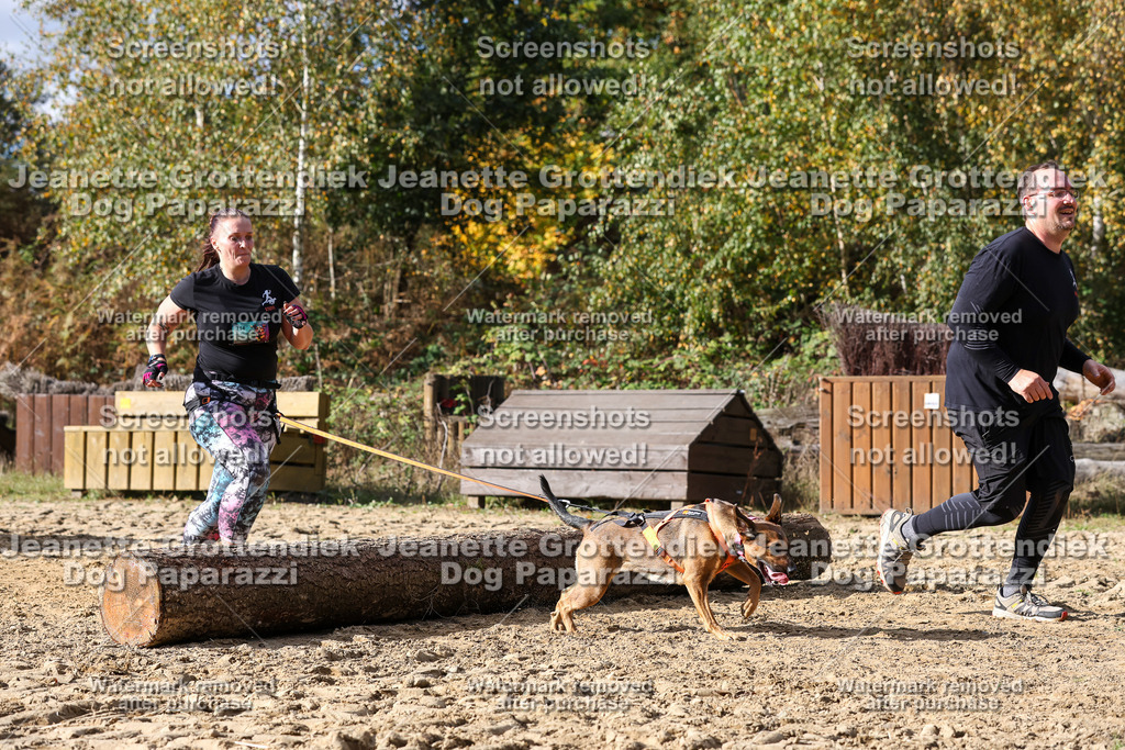 Dog Paparazzi - Strongdog 10-25-5169 | Dog Paparazzi Jeanette Grottendiek Fotografie & Videografie - Realisiert mit Pictrs.com