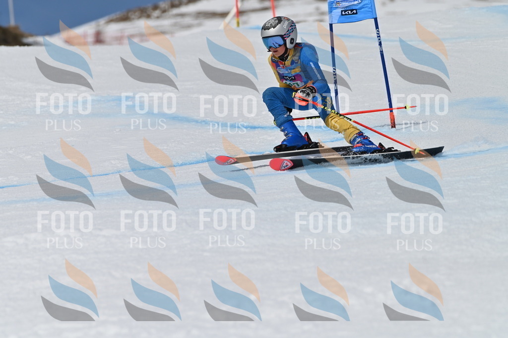 BGV_6677 | holidayphoto