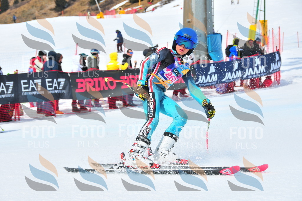 DSC_6247 | holidayphoto