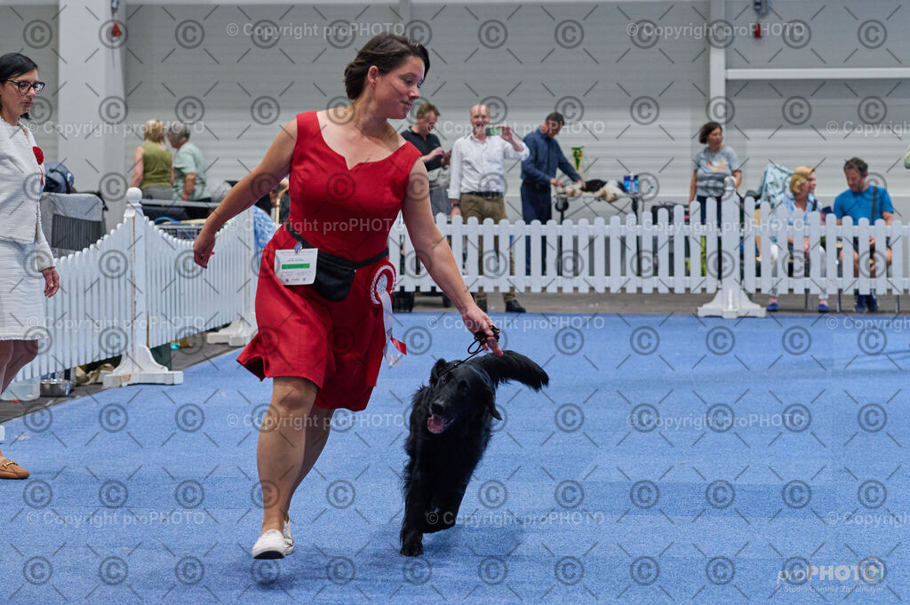 202406_ÖKV-IHA-Tulln24_DSC_5109 | proPHOTO - Realisiert mit Pictrs.com