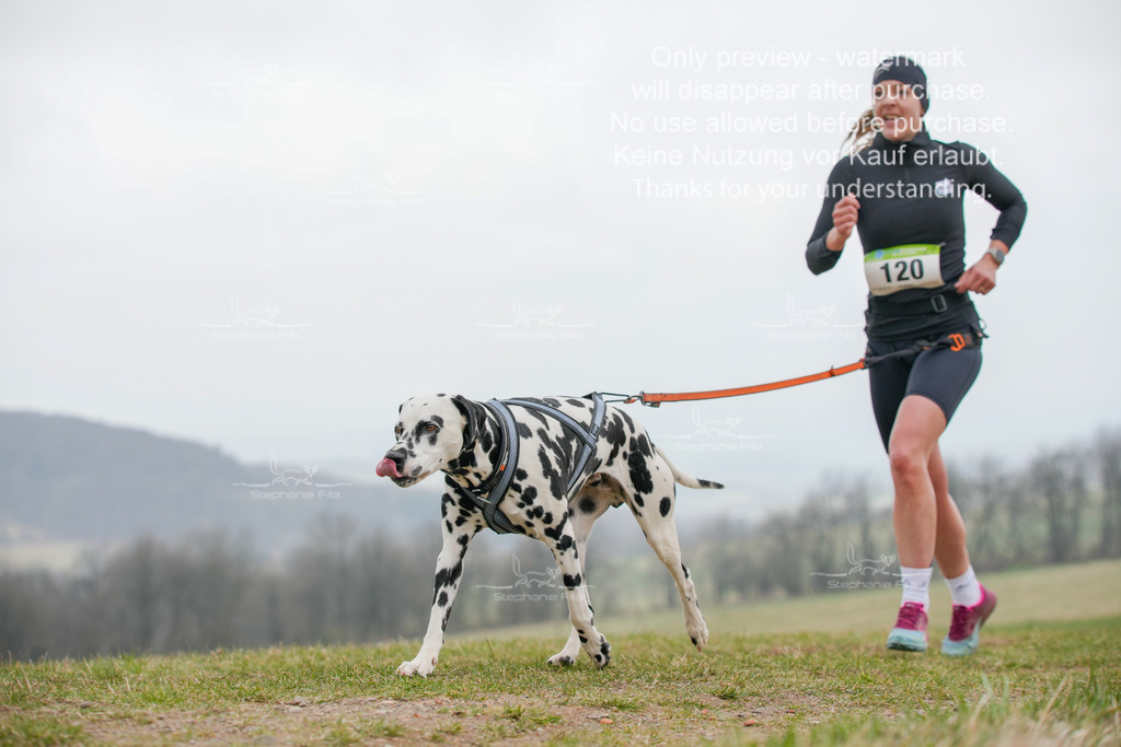 Canixlong-337 | stephaniefillaphotographie - Realisiert mit Pictrs.com