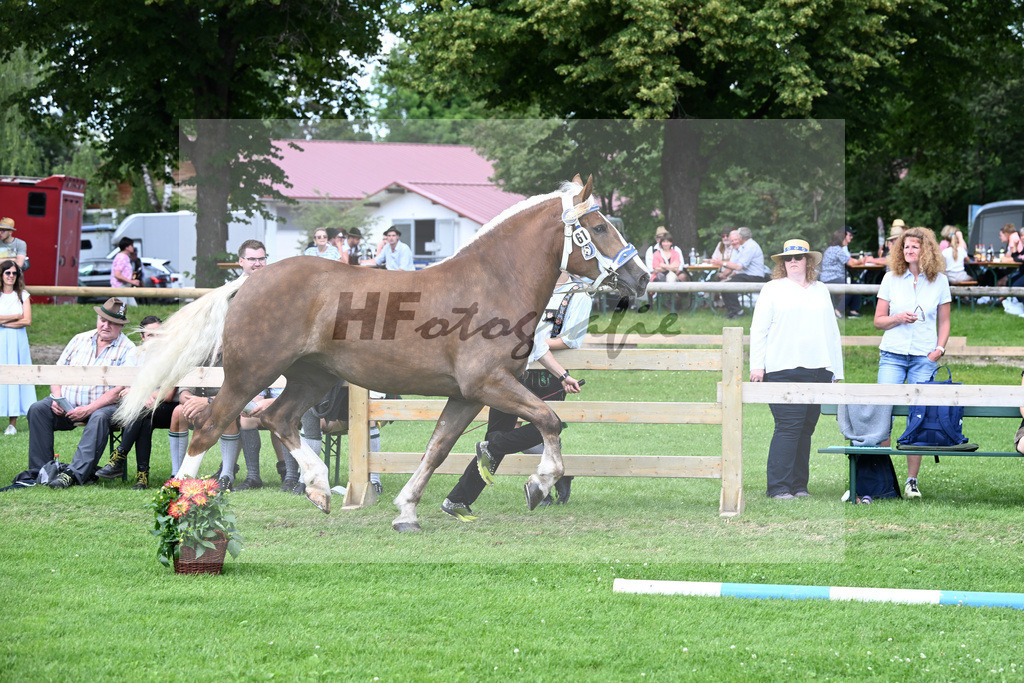 Kat-Nr. 61 Fabienne G v. Sambuco N_Grandauer_22241090 | hf-fotografie - Realizzato con Pictrs.com
