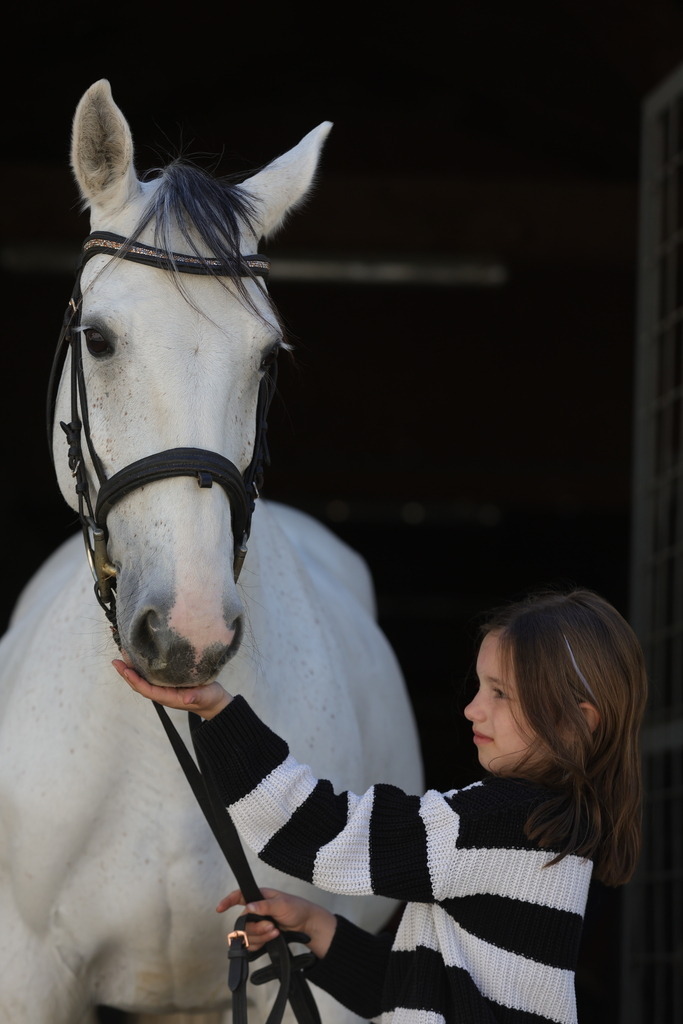 0P6A9010 | Willkommen bei Brunnmayr - Design & Fotografie – Ihrem Spezialisten für Reitturniere und Pferdeveranstaltungen in Oberösterreich, Salzburg und Bayern! Seit über 17 Jahren sind wir leidenschaftlich dabei.