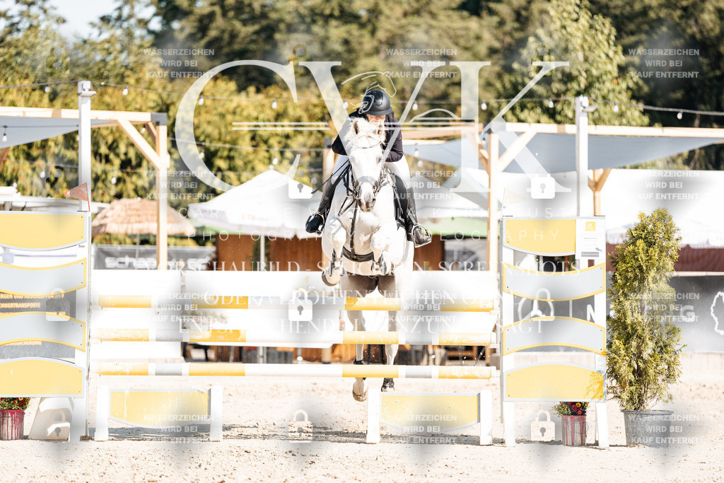 CK902465 | Turnierfotografie Pferdefotografie Trier Rheinland-Pfalz Pferdesport Reitsport Tierfotografie Sportfotografie Pferdevideo Pferdevideografie Equestrianvideography equestrianphotography  - Realisiert mit Pictrs.com