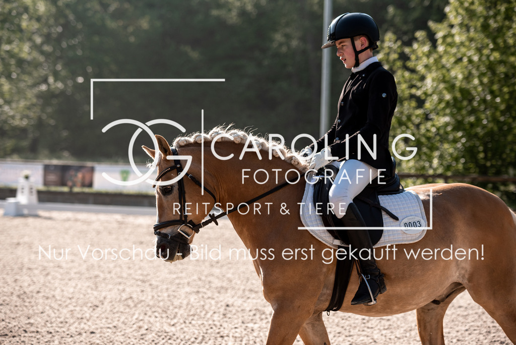 DSC_8802 | Turnierfotografin Carolin Gieschke, Turnierfotografie Carolin G Fotografie, Turnierfotos Kirchheim/Teck, Esslingen, Stuttgart, Bodenseekreis