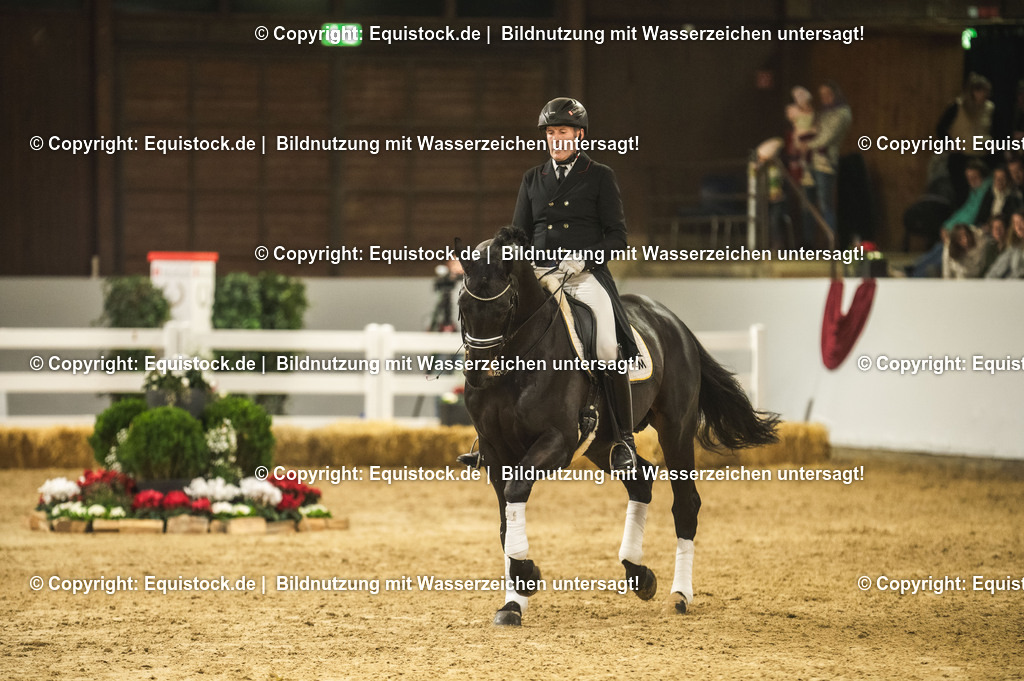 20240302_Hengstvorstellung_Marbach_TOMsPiC_1487-2 | equistock