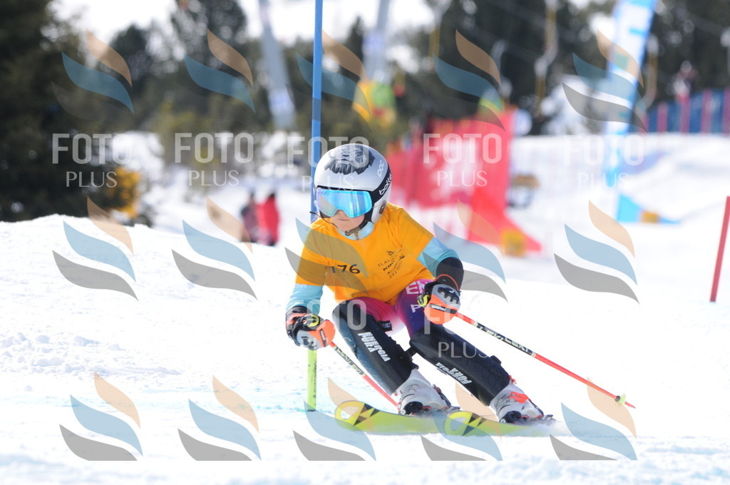 C7407 | holidayphoto