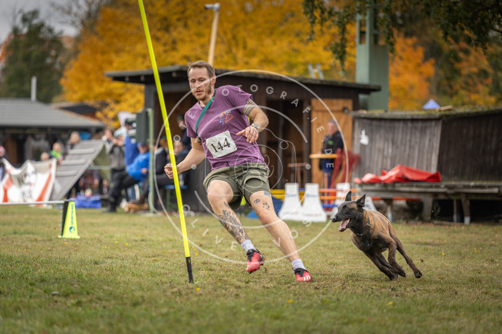 Pfotenfotografie_DV3A7819 | Hundefotografie, Tierfotograf, Pfotenfotografie, Fotoshooting Hund, Hunde Portrait, Hundesport, Hundeportraits, Heideshooting, Hunde, Sportfotograf, Hundefotograf, Turnierhundsport, THS,  - Realisiert mit Pictrs.com