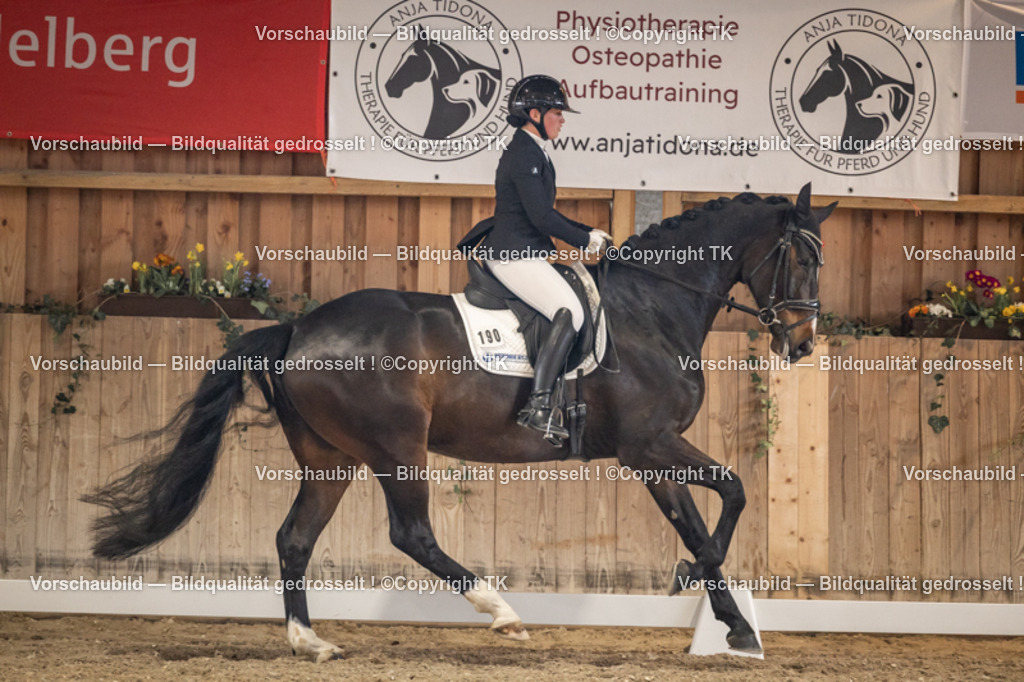 _D5A8747 | Emotionale Pferde- & People-Fotografie rund um Heidelberg, Leimen & Umgebung. Natürliche Fotos von Pferd, Mensch & Familie. Jetzt Termin sichern!