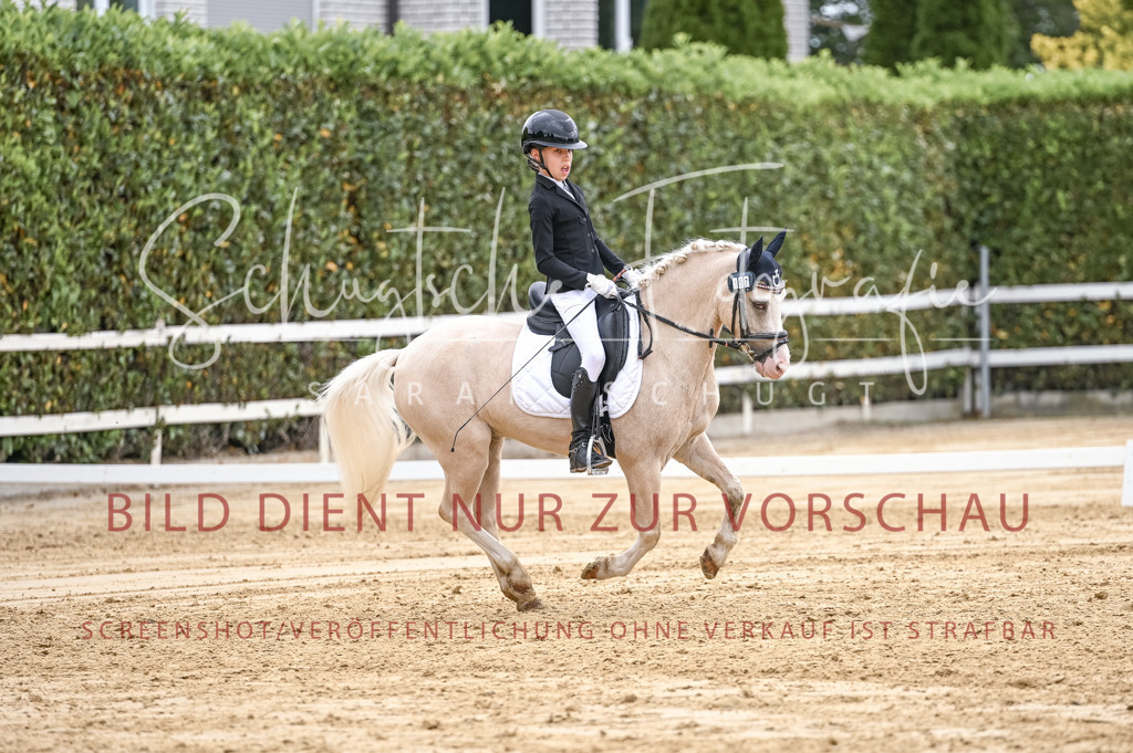 Schugtsche-Aluta25-42.EDressur -390 | Schugtsche Fotografie - Realisiert mit Pictrs.com