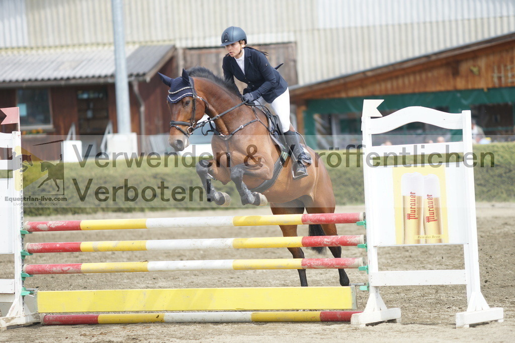 DSC04289 | equestrian-live-com