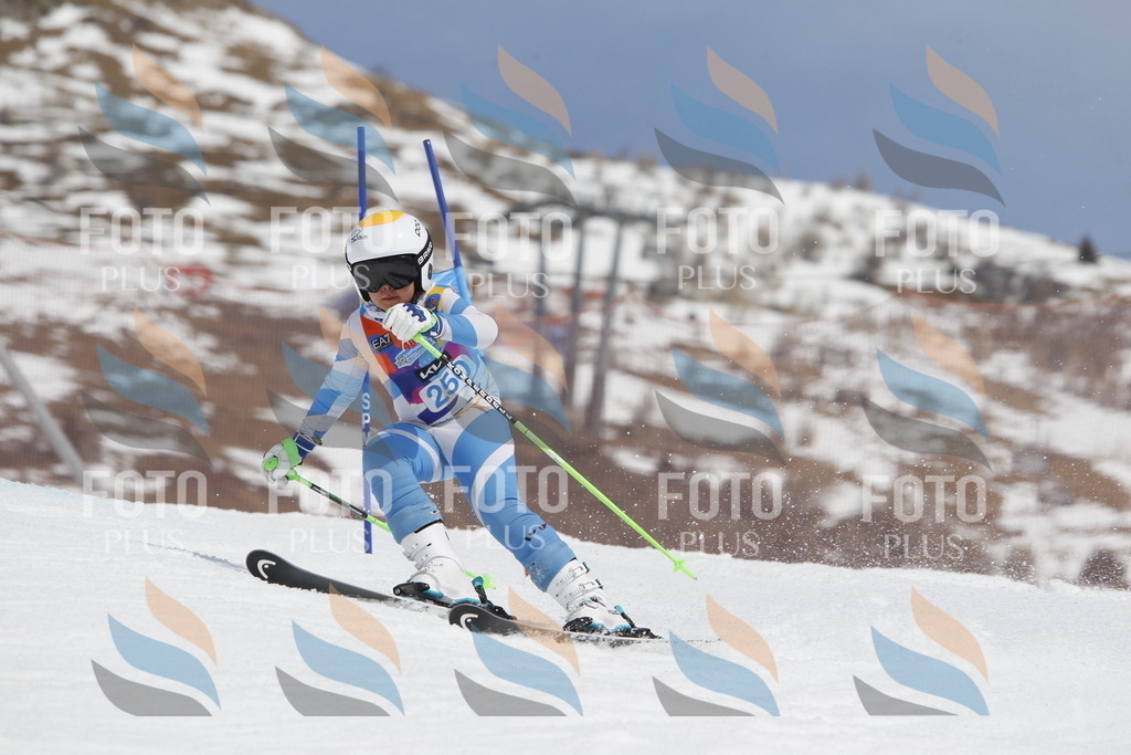 _U3G2902 | holidayphoto