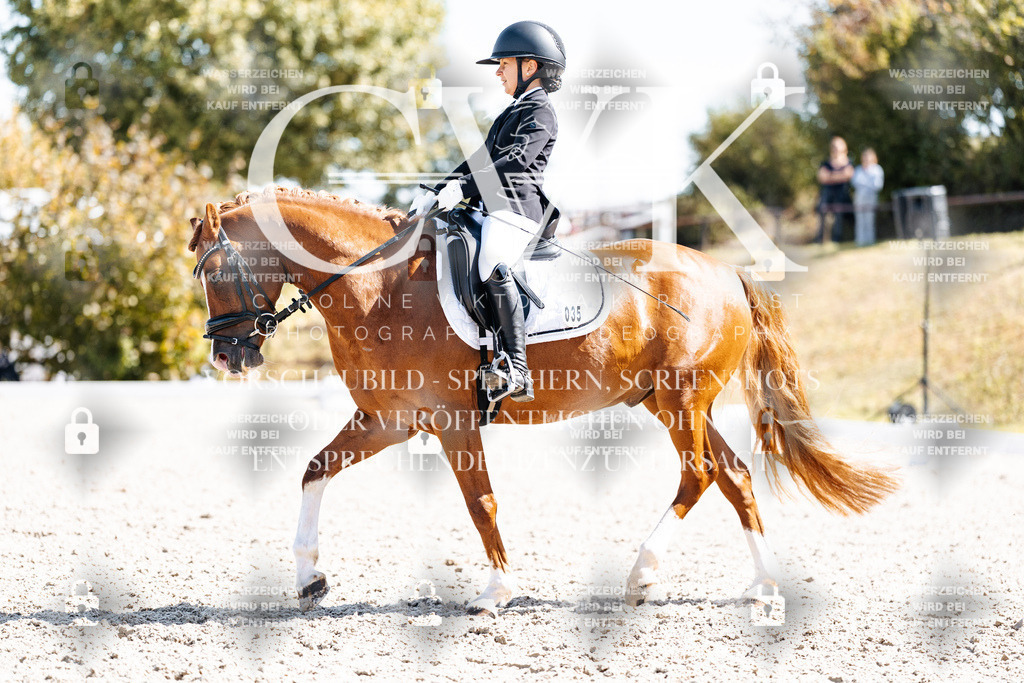 CK903116 | Turnierfotografie Pferdefotografie Trier Rheinland-Pfalz Pferdesport Reitsport Tierfotografie Sportfotografie Pferdevideo Pferdevideografie Equestrianvideography equestrianphotography  - Realisiert mit Pictrs.com