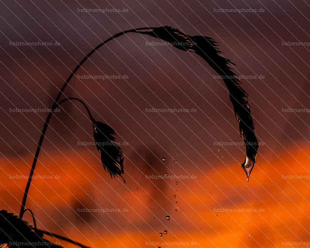 IMG_6086-2 | Fotograf Leipzig für Hochzeiten, Familienfeste & Porträts. Persönlich, ehrlich & echt – Emotion im Fokus. Jetzt Fotoshooting bei Holzmannphotos buchen!