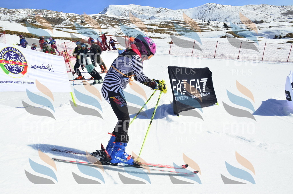 _ELE9941 | holidayphoto