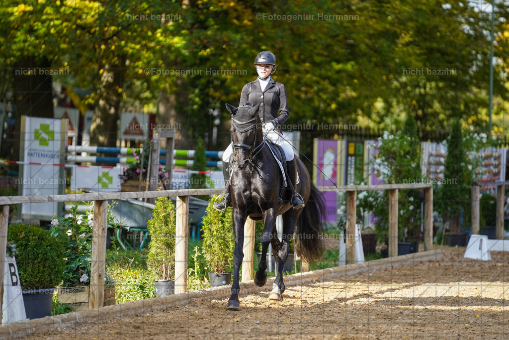 20221007-FAH00014 | Diessen am Ammersee, 2022, Dressur- und Springturnier, Reitsportbilder, Turnierfotografen Bayern, Pferdefotografen, Fotoagentur Herrmann, Turnierbilder