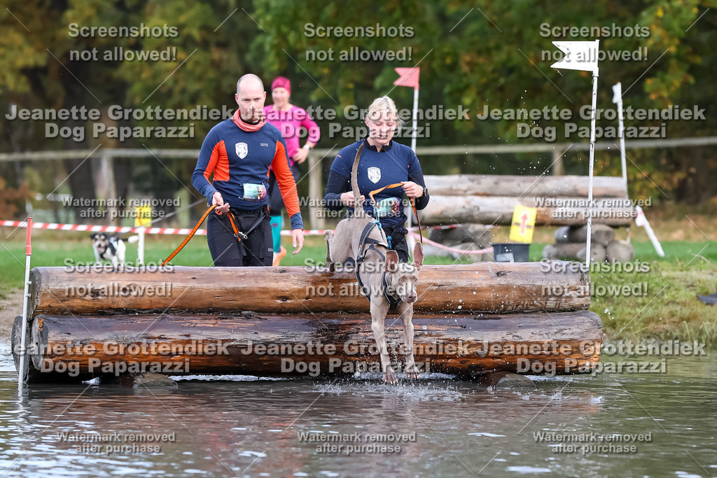 Dog Paparazzi - Strongdog 10-25-6786 | Dog Paparazzi Jeanette Grottendiek Fotografie & Videografie - Realisiert mit Pictrs.com