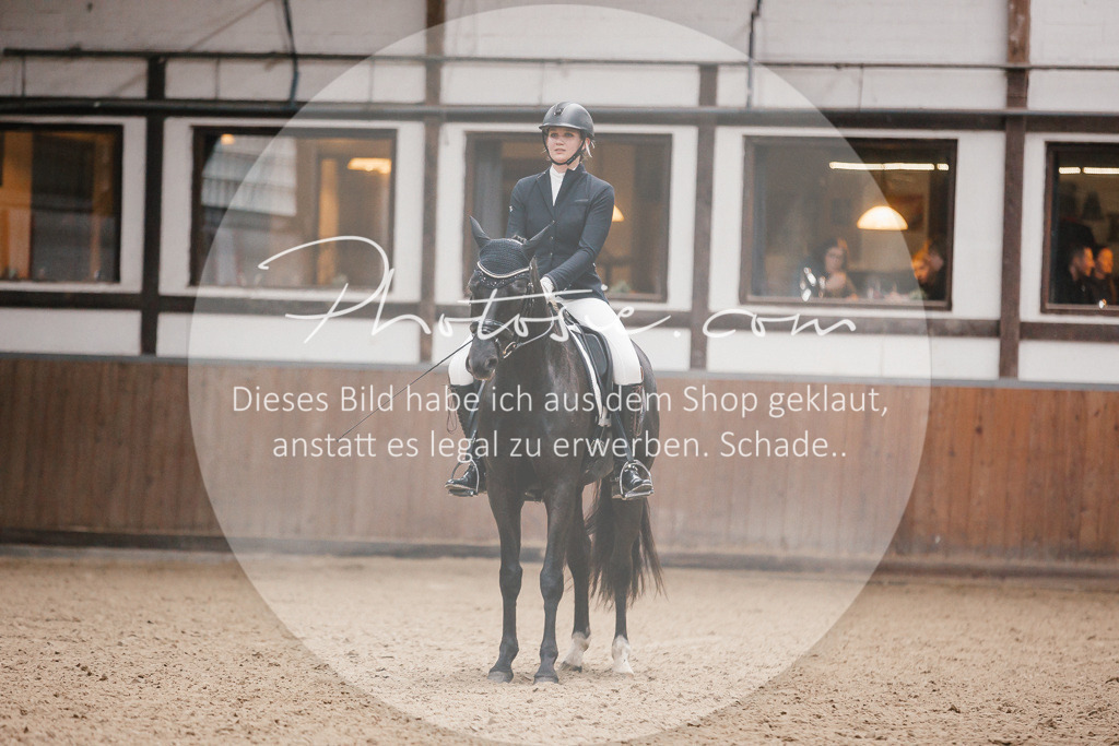 3I6A6144 | Stimmungsvolle Portraits und Reitsportfotografie im Ruhrgebiet und im Münsterland.

Pferdefotografie, Hundefotografie, Tierfotografie, Reportagen, Portraits von Tier und Mensch, Turnierfotografie in Bochum, Recklinghausen, Marl, Haltern am See, Dülmen.. - Realisiert mit Pictrs.com