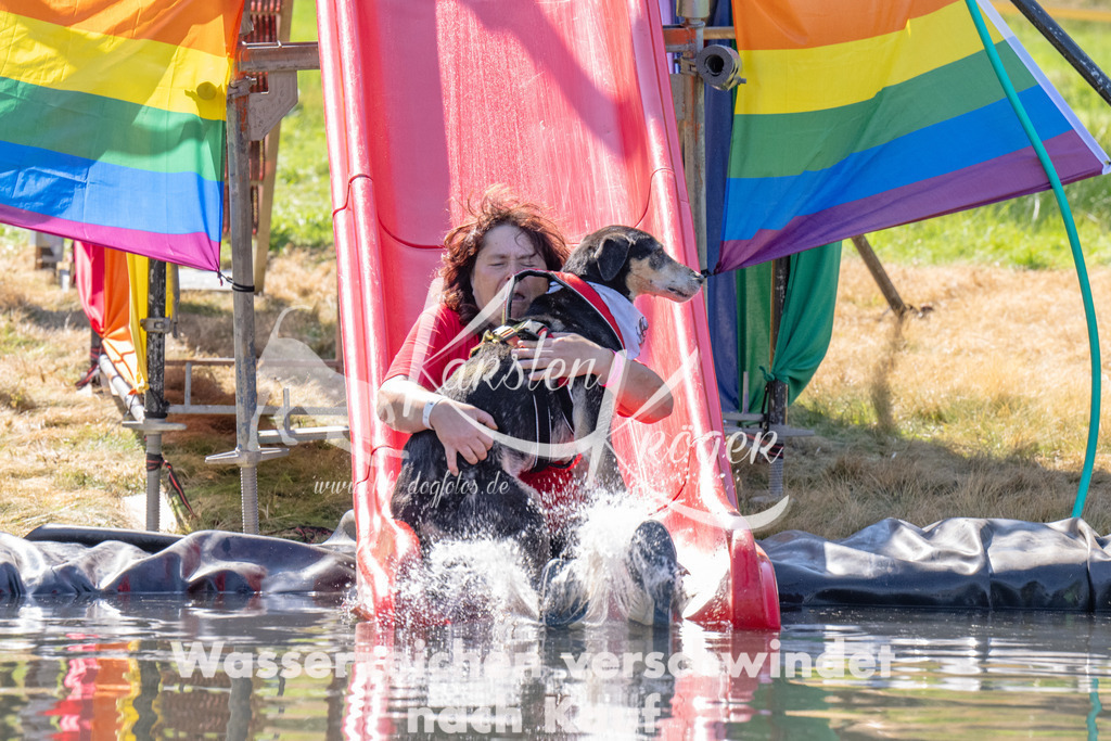 1232_ZZ92222 | kk-dogfotos