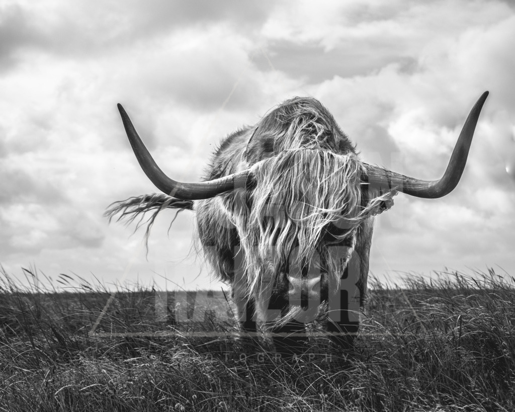 DSCF0993-3 | jasonraizor - Realisiert mit Pictrs.com