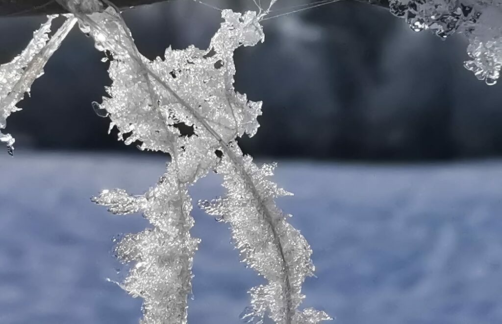 PSX_20221218_235940 | mtkfoto_ - Realisiert mit Pictrs.com