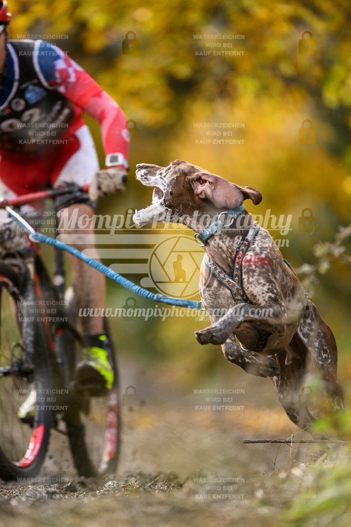 MompixPhotography_ICF_WC_2024_SA_Bike_-285 | PayLife