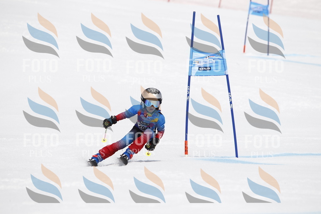 _U3G6506 | holidayphoto