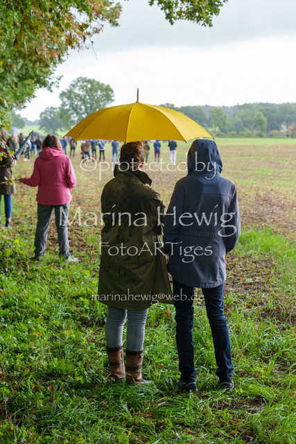 Jagd Perdoel 26 Sony-03435_MarinaHewig | Fotografie, FotoArt, PferdesportArt, Pferdesportfotografie, Landschaftsfotografie, Reisefotografie, Reise, Pferde - Realisiert mit Pictrs.com