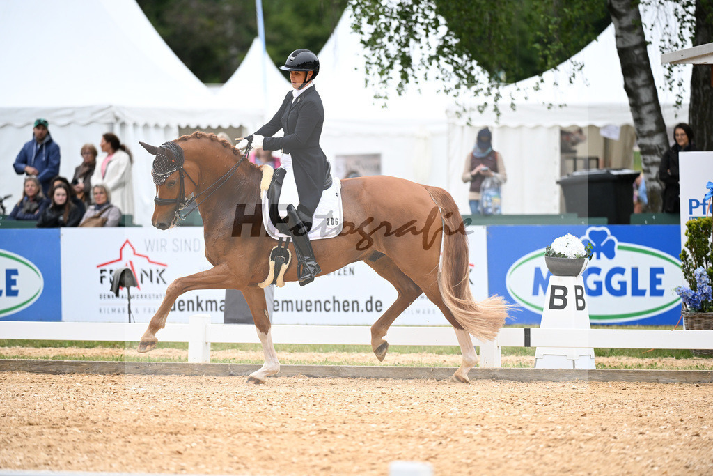 Schatz-Weihermueller_Le Charmeur_11251673 | hf-fotografie - Realisiert mit Pictrs.com