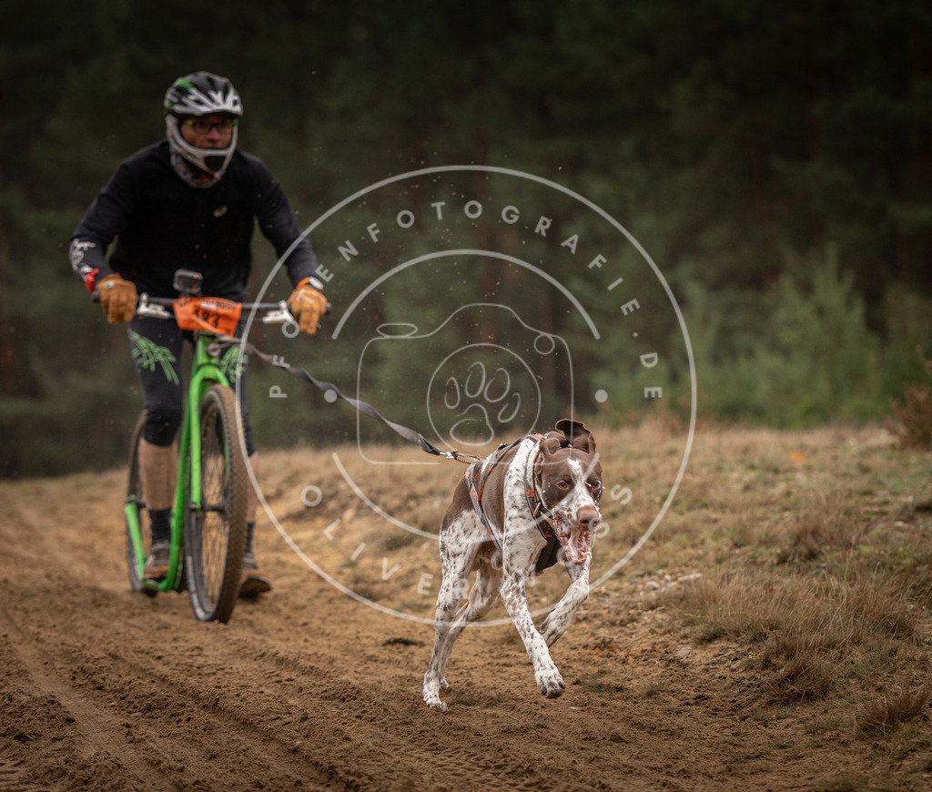 Pfotenfotografie_DV3A4750 | Hundefotografie, Tierfotograf, Pfotenfotografie, Fotoshooting Hund, Hunde Portrait, Hundesport, Hundeportraits, Heideshooting, Hunde, Sportfotograf, Hundefotograf, Turnierhundsport, THS,  - Realisiert mit Pictrs.com