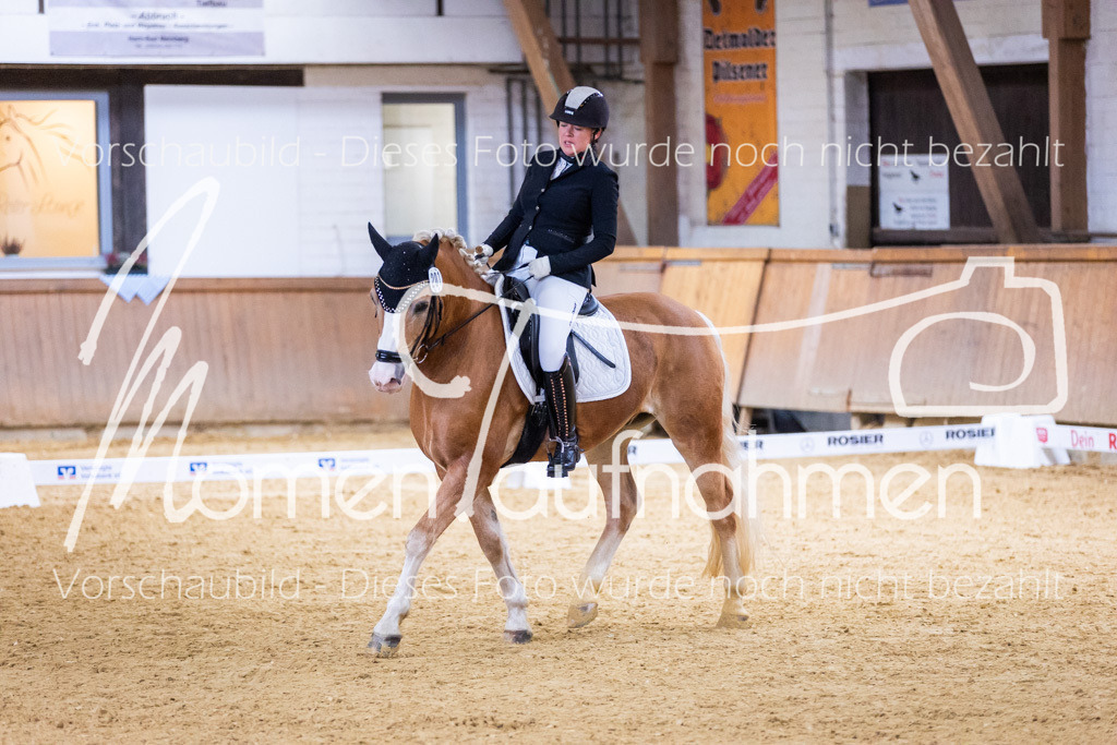 Sth-A-Dre-2St-048 | MomenTaufnahmen Pferdesportfotos