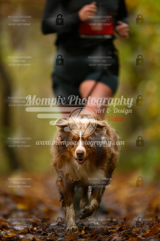 MompixPhotography_CD7S_DI_CCL-184 | mompixphotography