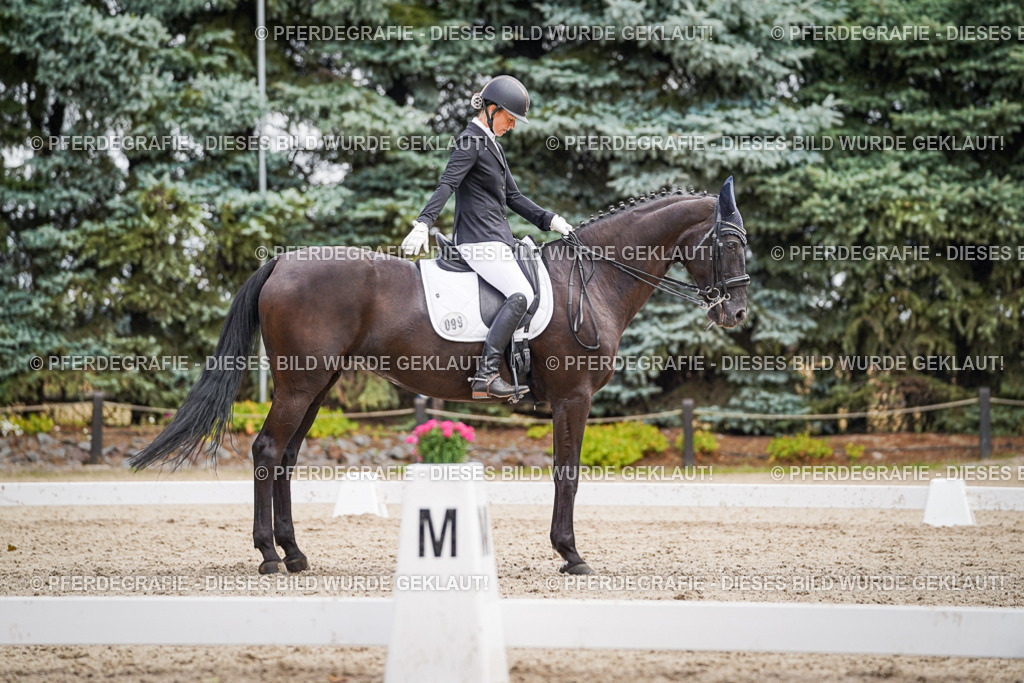 DSC03622 | Pferdegrafie