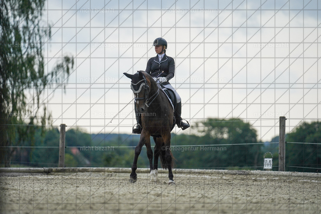 20230826-FAH06291 | Forstinning, 2023, Dressurturnier, Turniersportbilder, Turnierfotografen Bayern, Fotoagentur Herrmann, Reitsportfotografie, Turnierbilder